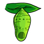  FREE Butterfly Clip Art images for you to use on your webpage, in emails, anywhere you need some butterflies!