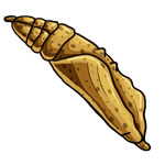 FREE Butterfly Clip Art 11