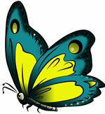 FREE Butterfly Clip Art 17