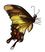 FREE Butterfly Clip Art 18
