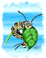 FREE Butterfly Clip Art 24