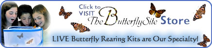 butterfly coloring pages, butterfly crafts, butterfly activities