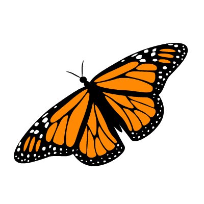 10 FREE Adorable Animated Butterflies! Colorful Butterfly Animation.